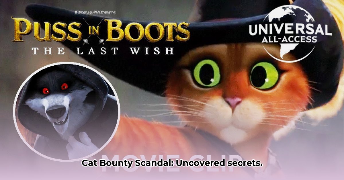 cat-bounty